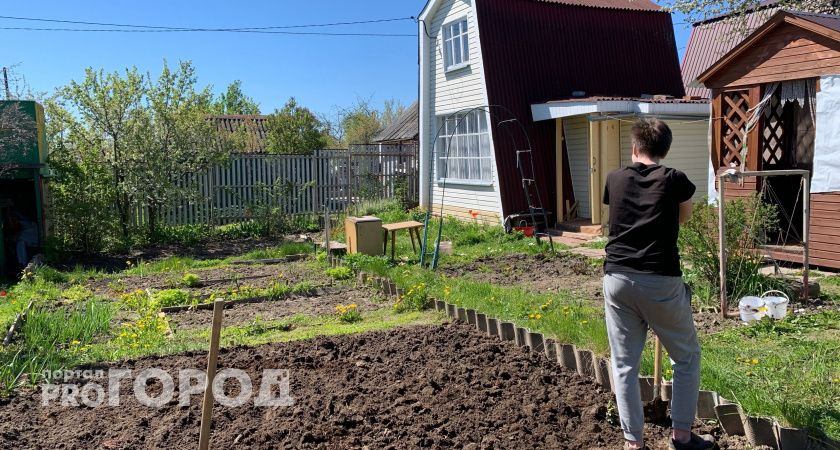 Сыплю на грядки: от луковой мухи следа не остается — избавилась от вредителей на раз-два