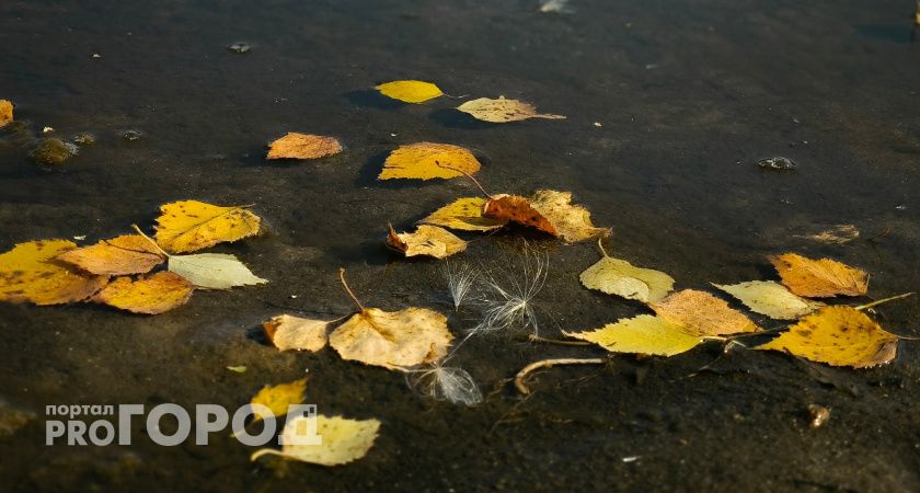 Неделя в Калужской области ожидается теплой, но дождливой 