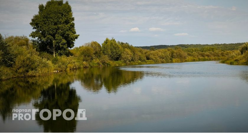 В калужских лесах создали еще 20 новых мест для отдыха 