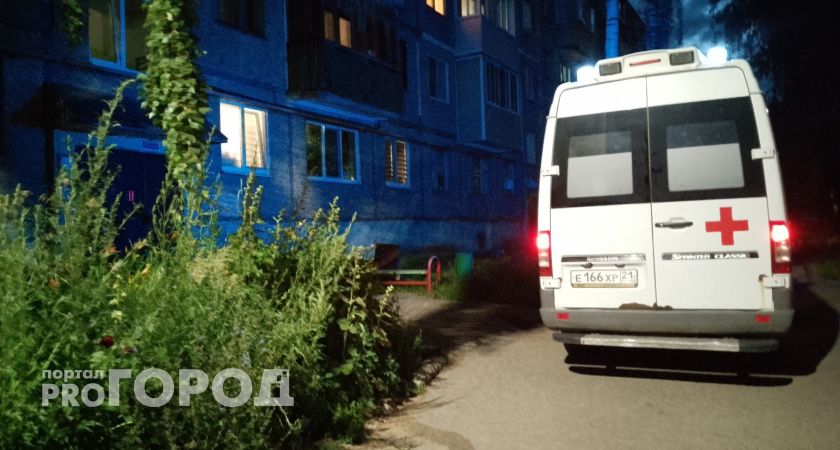 В Калужской области хозяйская овчарка изуродовала ногу 13-летней девочки 