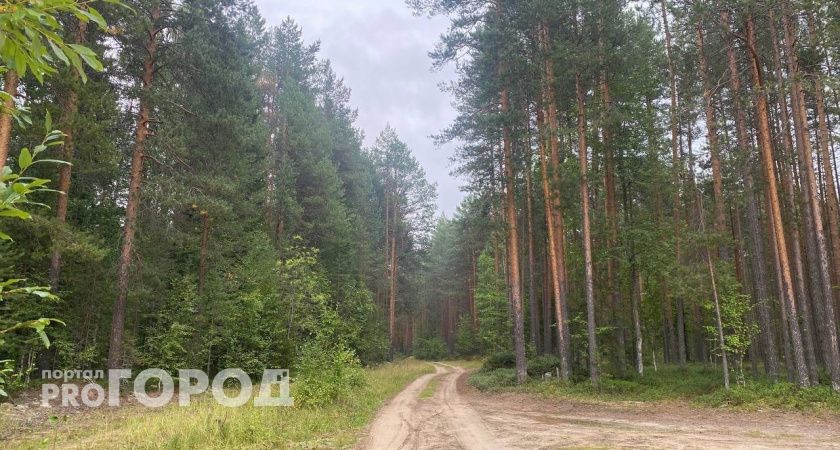 В Калужской области продлили действие чрезвычайной пожарной опасности 