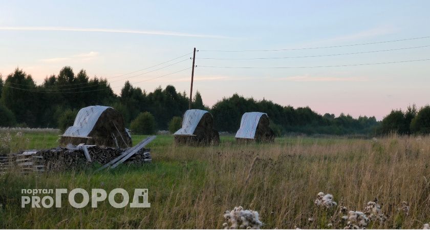 В Калужской области на подготовку сельхозземель выделили более 70 миллионов рублей