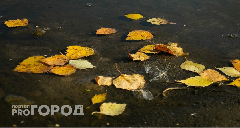 В Калуге с сентября осадков выпало больше половины от нормы 