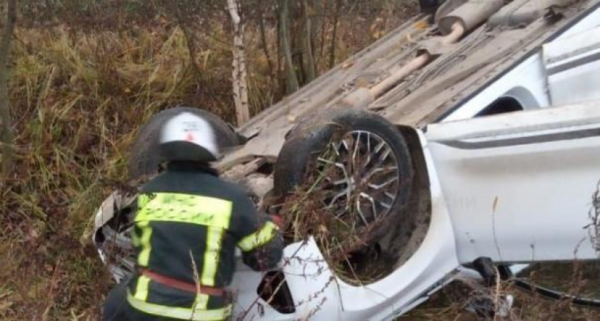 На калужской дороге иномарка сбила корову и слетела в кювет 