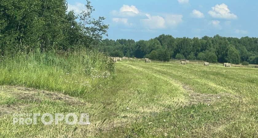 Калужская область планирует увеличить площадь сельскохозяйственных земель в течение следующих пяти лет