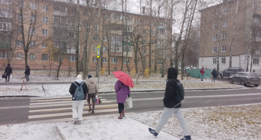 Жители Калуги разделились во мнениях о предложении ограничить прием детей мигрантов в школы без знания русского