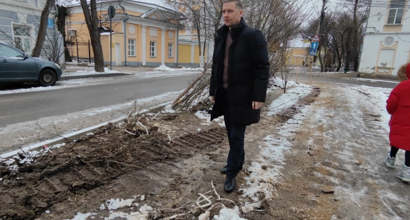 В Калуге коммунальщики уничтожили молодые деревья, посаженные горожанами