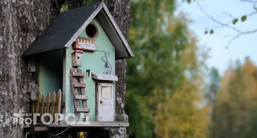 Калужане стали создавать птицам кормушки-бункеры 