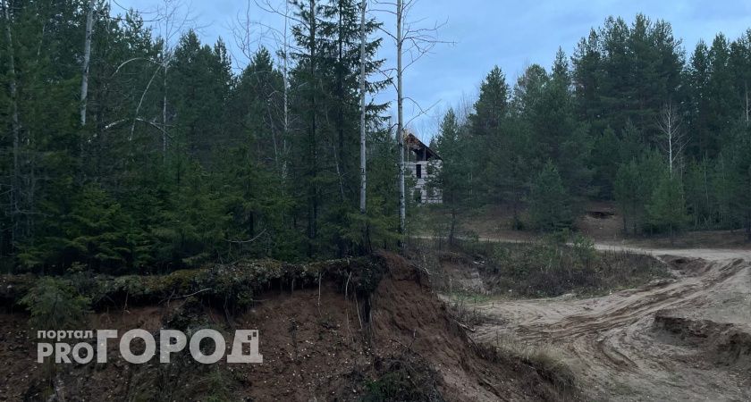 В Калужской области впервые провели исследование места обитания редкого зверька 