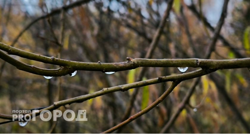 В Калужской области температура превысила климатическую норму на пять градусов