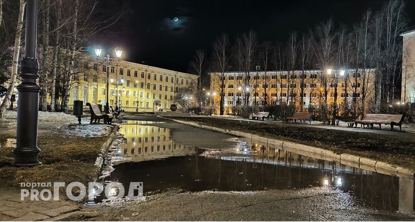 В Калужскую область пришла "январская весна"  