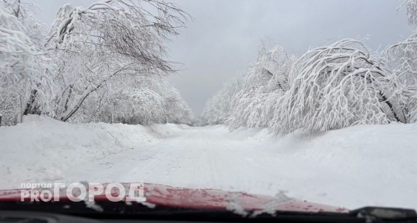 В феврале в Калужскую область придет зима 