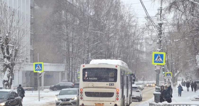 В Калуге запустят новый льготный транспорт 