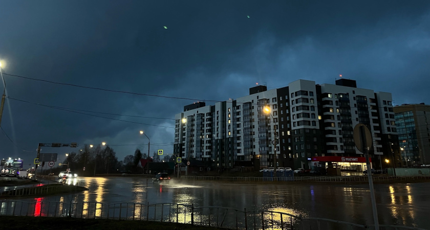Погода в Калужской области 16 мая: грозы и порывистый ветер