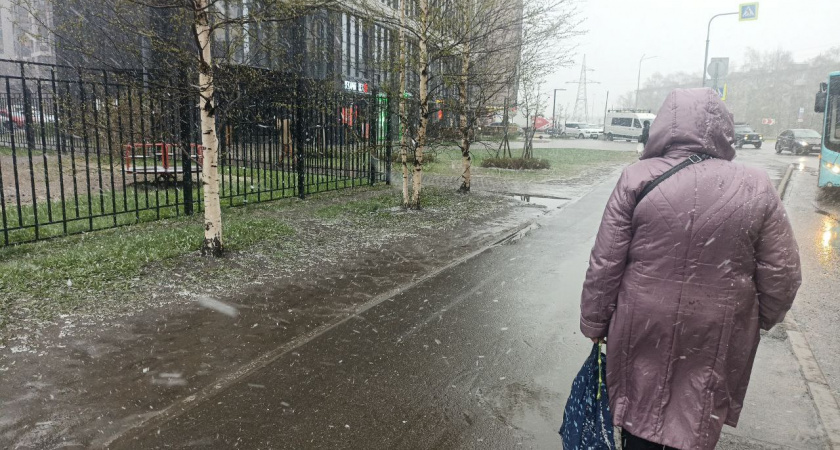 Кажется, зима снова заглянет в гости перед летом: в мае похолодание и заморозки накроют половину России