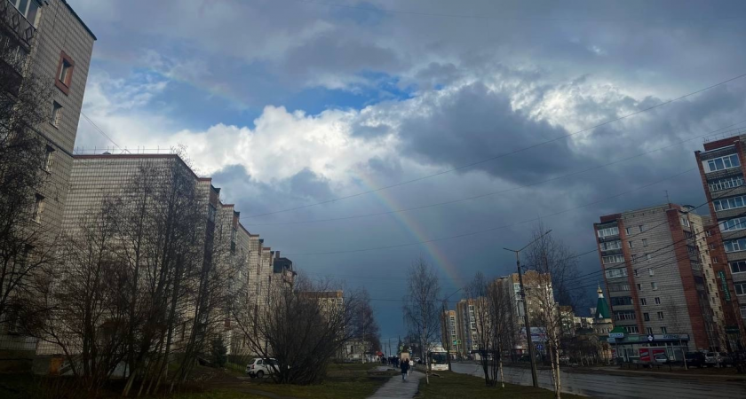 Погода в Калужской области 25 мая: облачно и прохладно