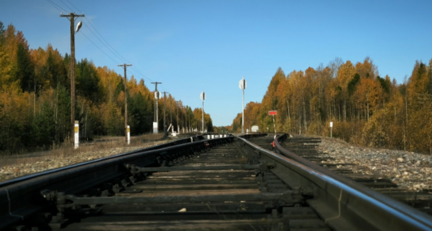 Подросток из Калужской области осуждён за диверсию на железной дороге