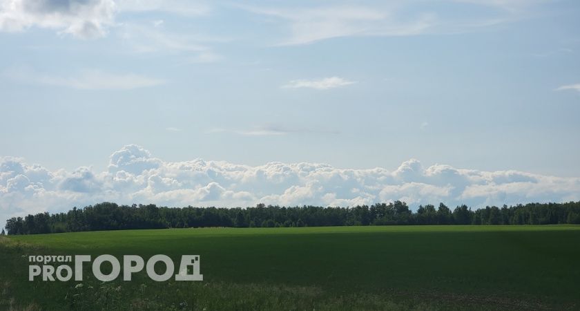 Калужская область радуется летнему теплу: прогноз на ближайшие дни