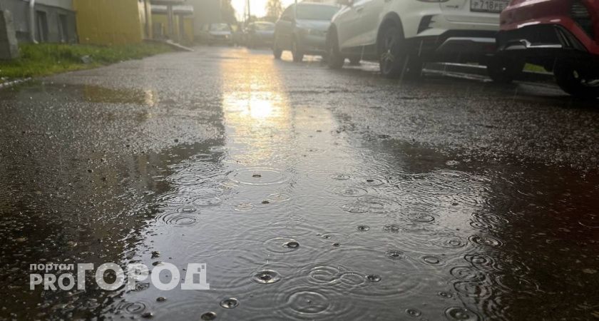 Калужская область встретит воскресенье кратковременными дождями и теплом