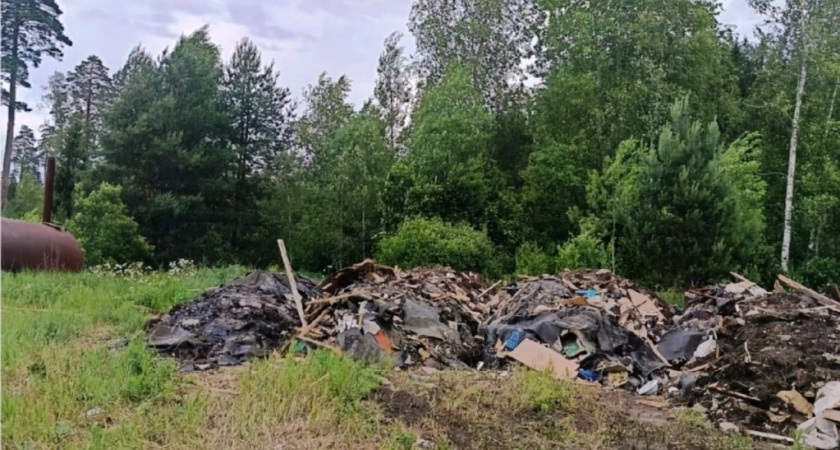 Загрязнитель леса поплатится за свалку в Калужской области