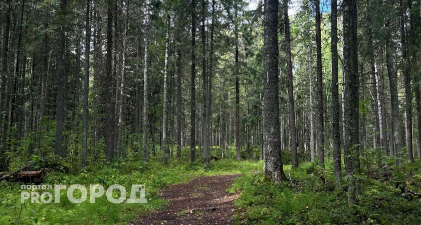 Тепло и сухо: синоптики рассказали о погоде в Калужской области на 4 сентября