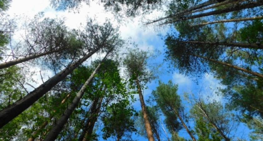 Теплое начало осени в Калужской области: синоптики рассказали о погоде на выходные и сентябрь