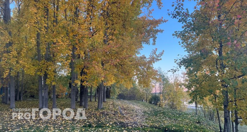 В Калужской области 26 сентября похолодает до +3 градусов 