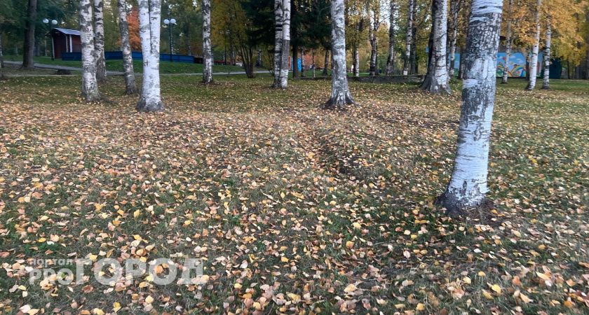 В Калужской области потеплеет до +15 градусов 3 октября 