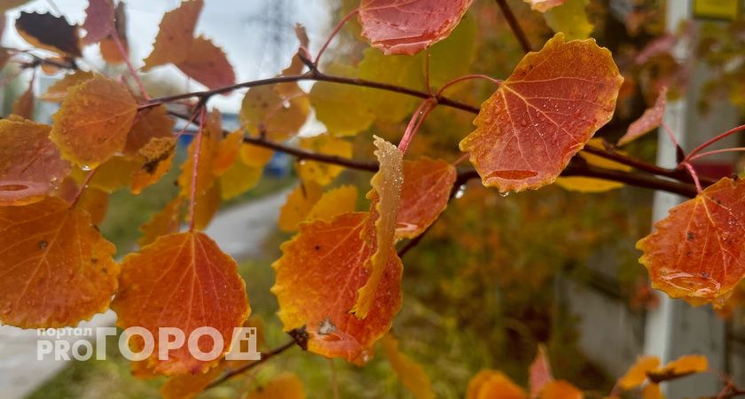 В Калужскую область 13 октября придет дождливая и холодная погода 