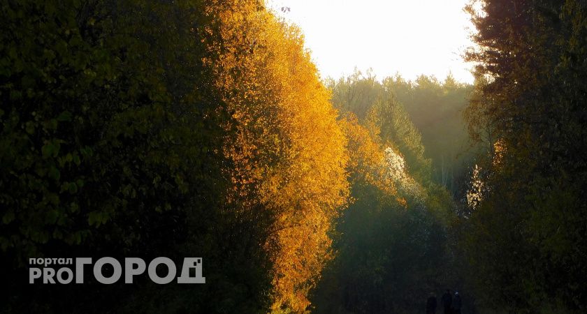 Дожди и прохлада ожидаются в Калужской области 14 октября 