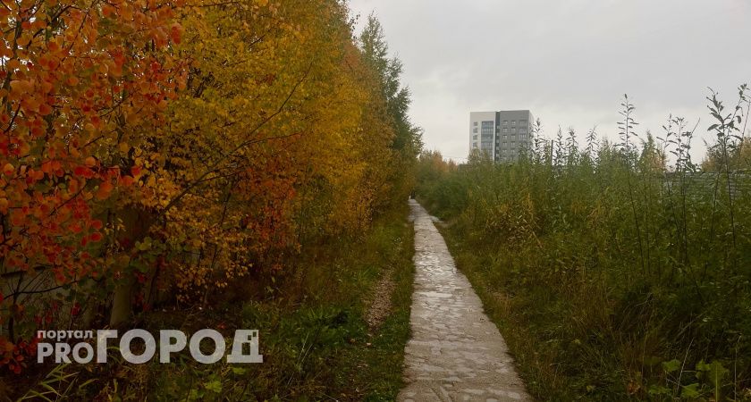 В Калужской области 16 октября ожидается туманная и дождливая погода