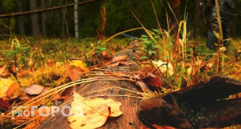 В Калужской области резко испортится погода: 28 октября метеорологи обещают дожди и +2 градуса