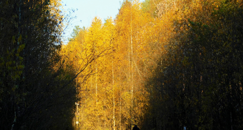 В Калужской области 31 октября потеплеет до +8 градусов