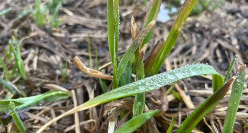 Жителей Калужской области ждет дождь и похолодание 3 ноября