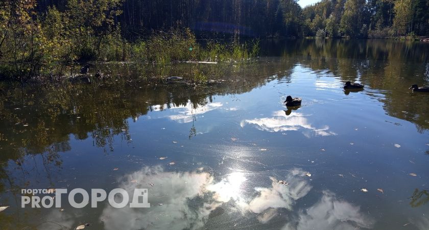 В Калужской области 6 ноября потеплеет до +10 градусов