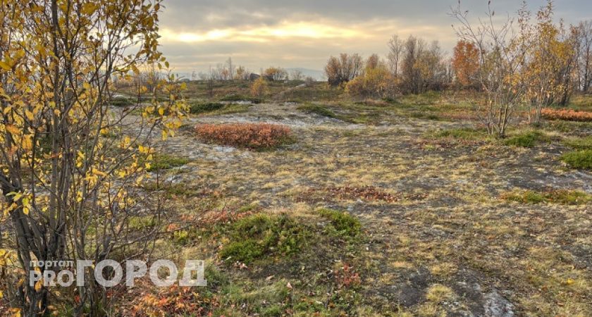 В Калужской области продолжает держаться теплая погода: 7 ноября синоптики обещают +11 градусов