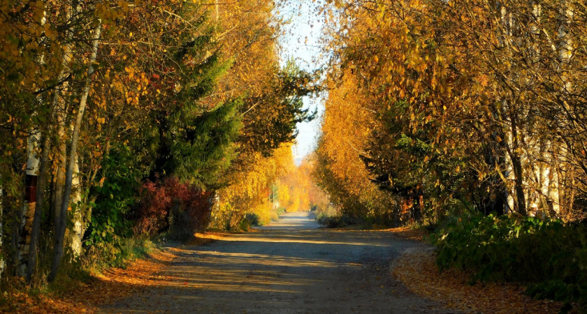 Гидрометцентр сообщил о теплой и сухой погоде в Калужской области