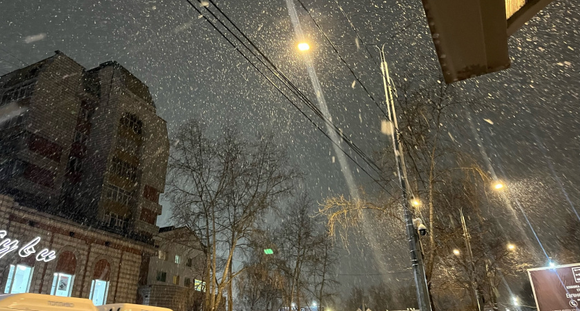 Дожди и мокрый снег: прогноз погоды в Калужской области на 15 ноября