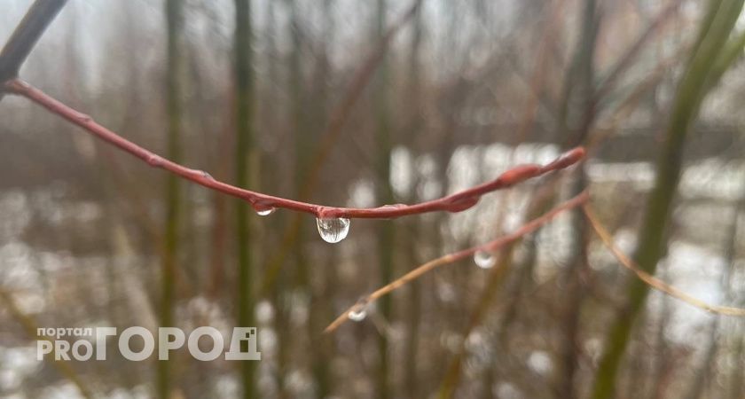 В Калужской области 18 ноября ожидается прохладная и дождливая погода 