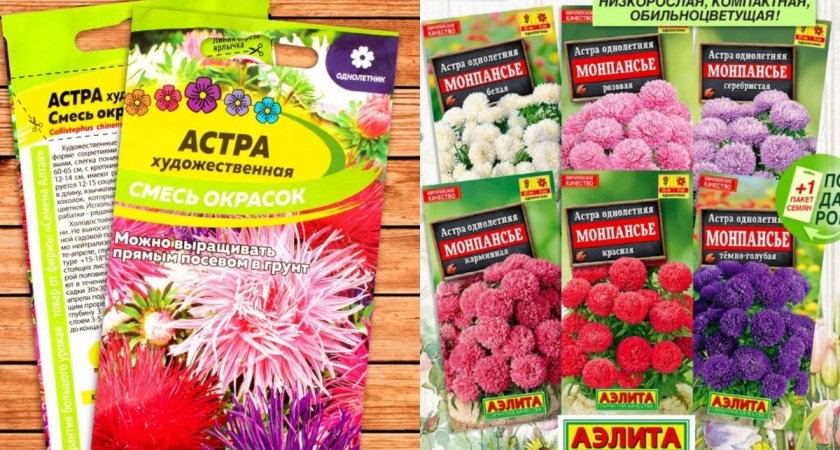 За 5 минут справился с плохой всхожестью астр. Семена теперь точно прорастут.