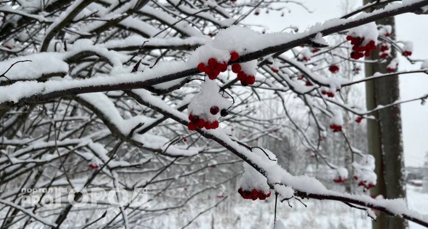 В Калужской области 25 ноября ожидается гололедица и снег 