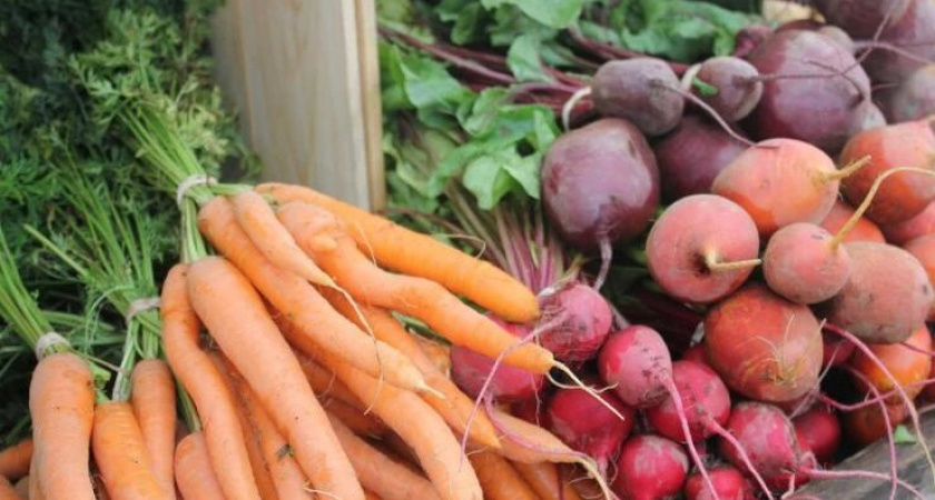 Сохраняем овощи до весны: храним морковь, свёклу и репу без потерь