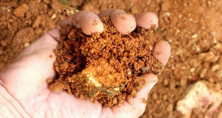 Превращаю глину в рыхлую почву за 45 рублей за 3 недели