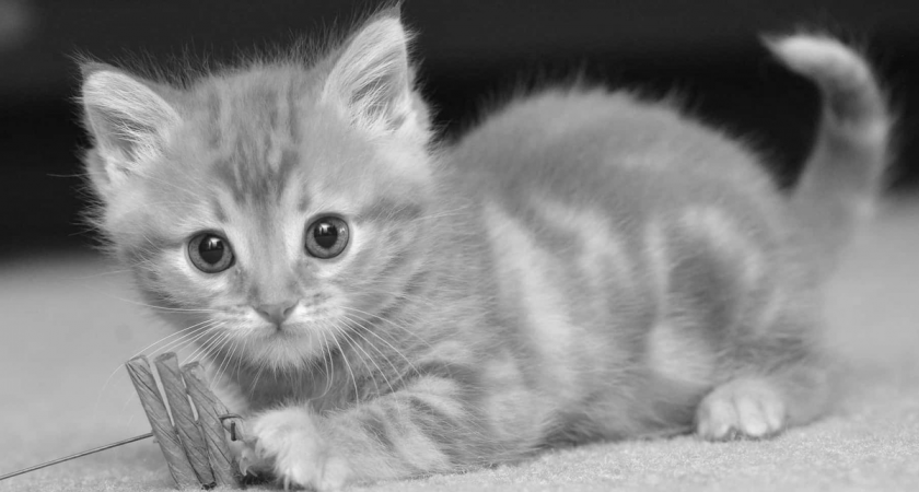 Проверьте интуицию: ответьте на 9 вопросов теста