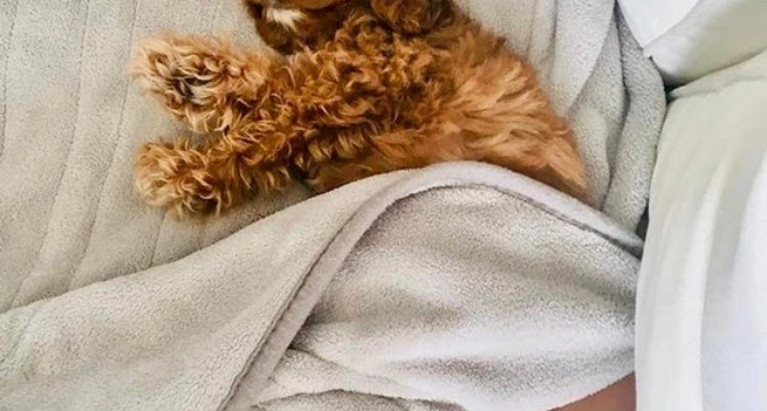 Смотрим фото-иллюзии: снова не то, что кажется на первый взгляд