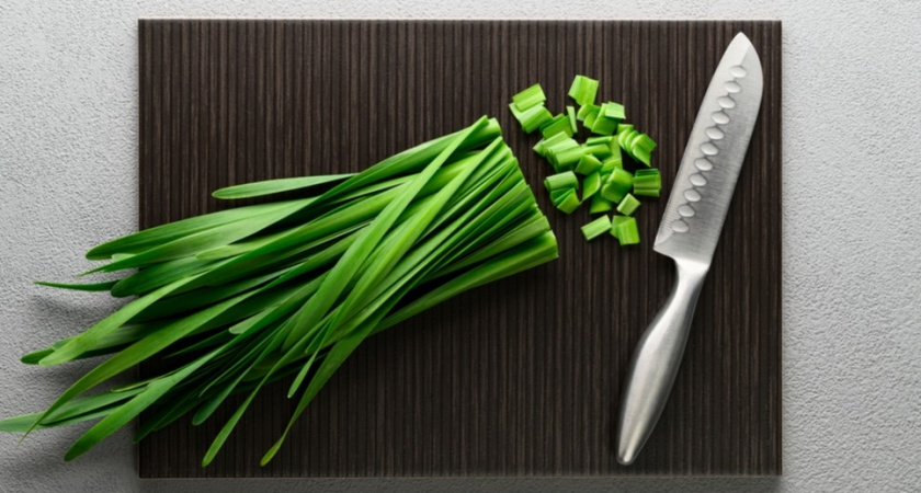 Получай зеленый лук зимой: 5 урожаев с каждой луковицы