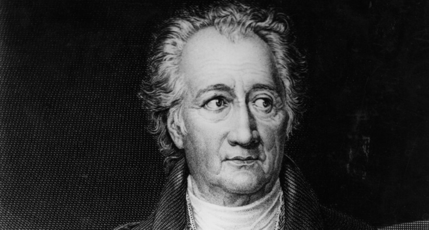 Умные люди минимизируют контакт: игнорируют, устанавливают границы и фокусируются на себе, не тратя энергию на токсичность