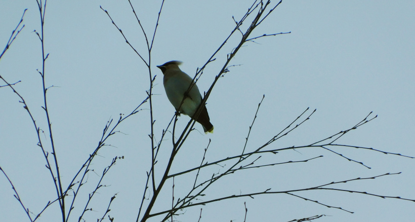 Калужан ждет сухая и теплая суббота