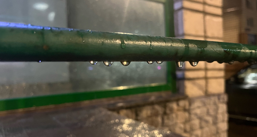 Осень не отступает: жителей Калужской области ждет околонулевая температура 7 декабря