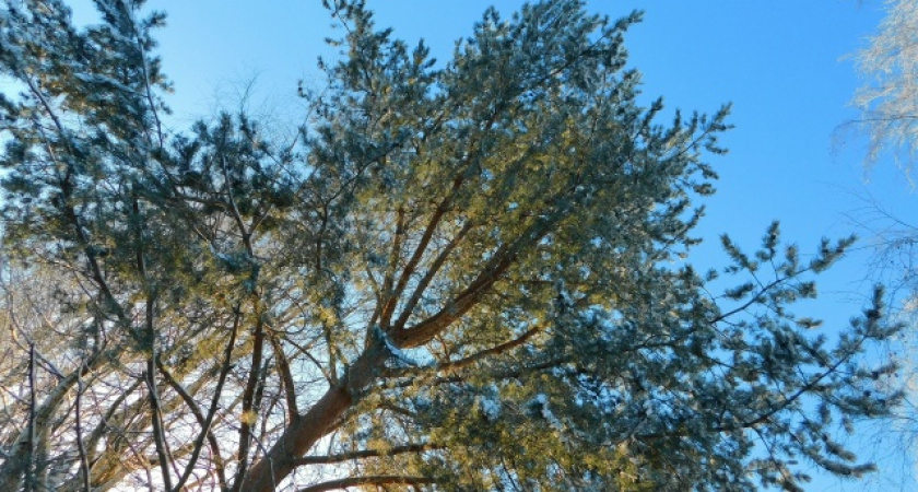 В Калужской области похолодает до -9 градусов